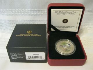 2011 Royal Canadian 25 Cent Black - Capped Chickadee Coloured Coin