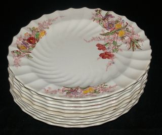 Vintage Copeland Spode Fairy Dell Pattern China Set Of 10 Salad Plates