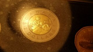 Canada 2010 Lynx Kittens Special Design Specimen Gem $2 Coin.