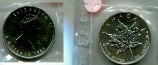 1989 $5 Maple Leaf Canada 1 Ounce Silver Coin Rcmp Ch Bu 8634n