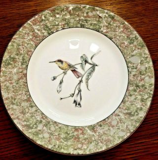 Wedgewood Hummingbird (4) Plates 8 1/8 " China Gold Edges 1991