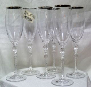 6 - Royal Doulton Oxford Platinum Crystal Champagne Fluted Flutes Goblets - 9.  5 " Lknu
