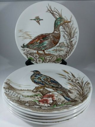 10 " Set 6 Different Dinner Plates Wild Birds Of Heath & Moorland British Anchor