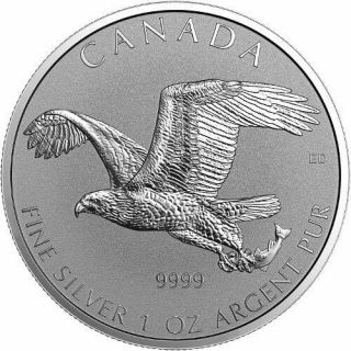 2017 1 Oz Canadian Silver Bald Eagle Reverse Proof Coin  - Only 100,  000