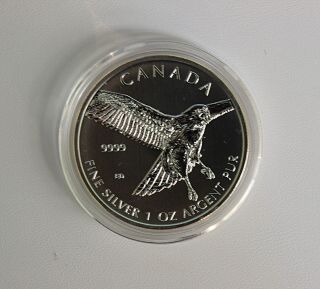 2015 Silver 1 Oz Canada Birds Of Prey Hawk