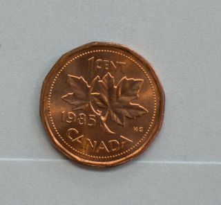 1985 Canadian Small Cent Pointed 5 (uncirculated)