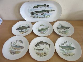 Ba Aria,  Germany Porcelain Fish Set,  14.  5 " Oval Platter,  6 Plates