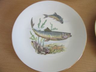 Ba Aria,  Germany porcelain Fish set,  14.  5 
