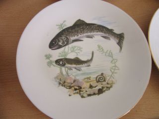 Ba Aria,  Germany porcelain Fish set,  14.  5 