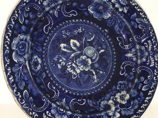 Historical Staffordshire Blue Plate Fruit Pattern By Stubbs Ca.  1825 2