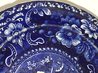 Historical Staffordshire Blue Plate Fruit Pattern By Stubbs Ca.  1825 3