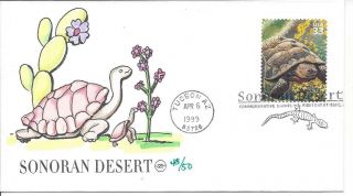Scott 3293 - 10 FDCs From Sonoran Desert Souvenir Sheet (w/ Hand Painting) 3