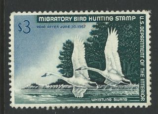 Bigjake: Rw33,  $3.  00 Whistling Swans,  Federal Duck Stamp