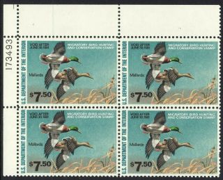 1980 U.  S Federal Duck Plate Number 173493 Mnh Sc Rw47 Mallard Ducks F.  V $30.  00