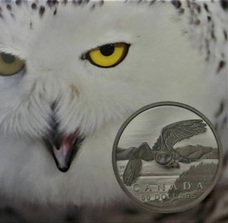 2014 Canada $50 For $50 Snowy Owl 99.  99 Pure Fine Silver Coin In Pack