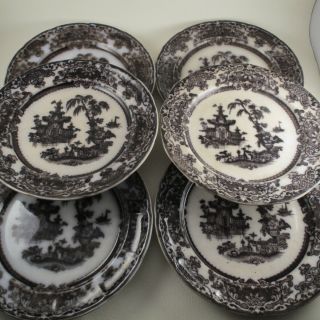 Corean By Podmore Walker Flow Mulberry / Black Ironstone Set Of 6 Dinner Plates