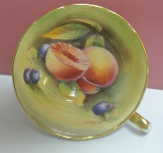 Vintage Paragon Double Warrant Orchard Fruits Baby Blue Cup Signed J.  Martin