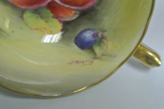 Vintage Paragon Double Warrant Orchard Fruits Baby Blue Cup Signed J.  Martin 2