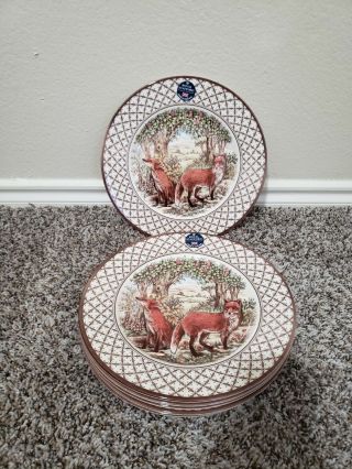 Royal Stafford Fox Porcelain Dinner Plates Fall Thanksgiving Set Of 6