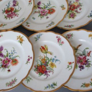 Set 6 Antique Haviland Porcelain 8 " Plates Hp Dresden Style Flowers W Gilt Trim