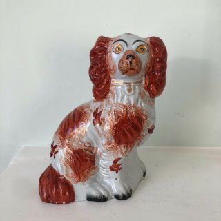 Rare C1850 " No.  5 " English Staffordshire Spaniel Dog Red & White Perfect