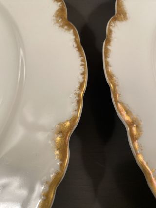Haviland Limoges White And Gold Dinner Plates Set Of 4 Missoula Mt