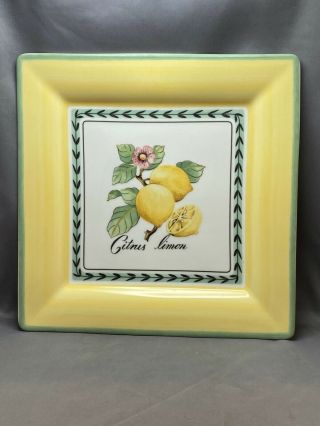 French Garden Square Dinner Plate,  Citrus Limon,  Villeroy & Boch,  With Tags