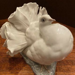 Rosenthal - German Porcelain - White Courting Dove Figurine Signed F.  Heidenreich.