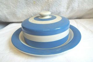 Vintage Blue/white Cornishware T.  G.  Green England Green Mark Domed Plate 8 3/8 "