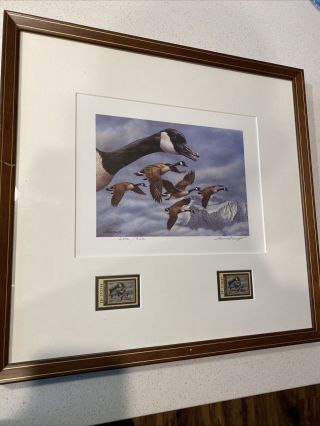 1986 Montana First Of State Duck Stamp And Print,  Signed And Numbered