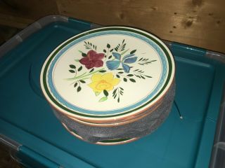 Stangl Hand Painted " Garden Flower " Dinner Plate - Vintage Set Of 8