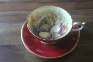 Aynsley D Jones Gold Burgundy Orchard Fruit Gold Teacup Tea Cup Saucer Signed