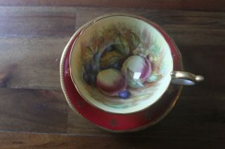 Aynsley D Jones Gold Burgundy Orchard Fruit Gold Teacup Tea cup saucer signed 2
