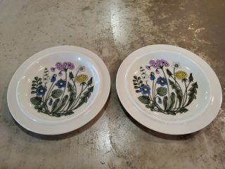 Arabia Of Finland Flora Two (2) Dinner Plates Vgc