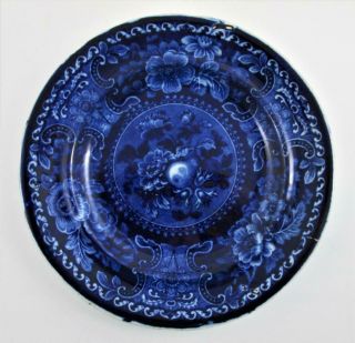 DARK BLUE antique transferware Plates FRUIT & FLOWERS - Stubbs & Kent c.  1830 3