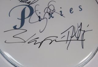 Black Francis PIXIES Signed Autograph Drumhead Drum Head by All 4 Members 2