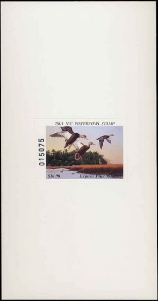 North Carolina 19a 2001 State Duck Stamp Adhesive Type Black Ducks/lighthouse