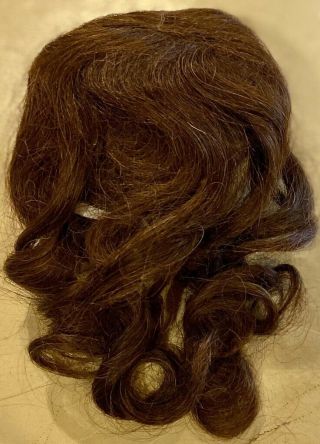 6 Antique 9 - 10 " Brunette Human Hair Doll Wig