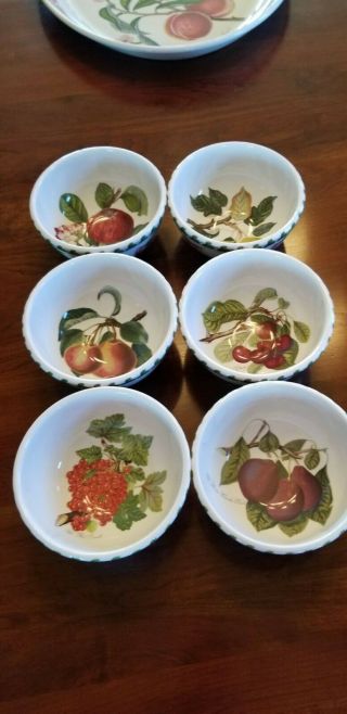 10 Portmeirion Pomona Assorted Fruit 5 1/2 " Cereal Bowls Some With Tags