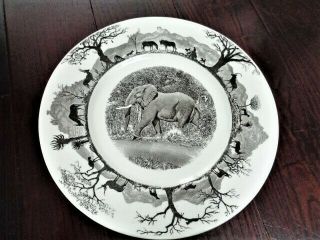 Wedgwood Kruger National Park W Map Elephant Dinner Plate Africa 10 5/8 "