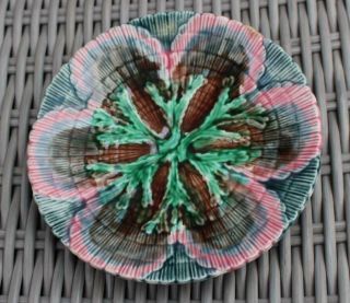 Vintage Etruscan Majolica Small Shell And Seaweed Plate 6 "