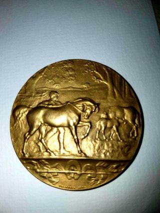 1920s French Art Deco Horses Splendid Bronze Medal By De Degeorge 40mm