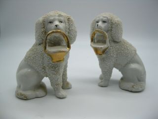 Antique Pair Staffordshire Poodle Dog Figurines Holding Gold Basket 3262