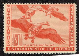 Rw 11 Us Fed Duck Stamp Migratory Bird Hunting License 1944.  Mnh.  Gum Skip