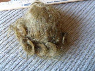 Authentic Old Antique Human Hair Wig For German Or French Bisque Head Doll