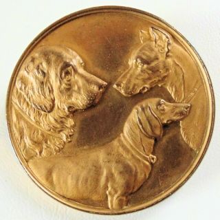 Ant.  German Gilded Dog Medal Great Dane Dachshund Saint Bernard Stettin 1903 Box