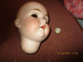 German Doll Head Marked 8 1/2 Made In Germany
