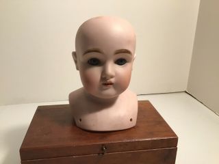 Antique Kestner Doll Head - 9 154 Dep.