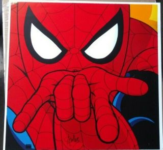 Marvel Vintage Warner Brothers Spider Man Signed Excelsior Stan Lee 1996