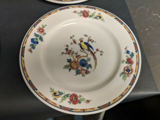 4 Syracuse China Dewitt Clinton Dinner Dishes Plates Bird Paradise USA 10 1/4 